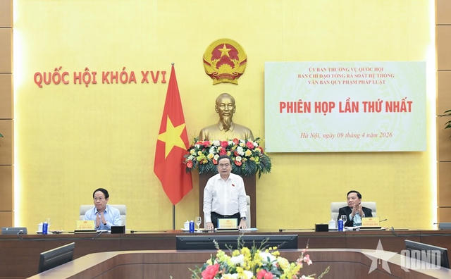 Bảo đảm chất lượng và thời hạn hoàn thành Báo cáo kết quả tổng rà soát hệ thống văn bản quy phạm pháp luật