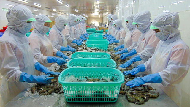 Thực phẩm Sao Ta (FMC): Doanh số giảm trở lại sau tín hiệu khởi sắc, kế hoạch lợi nhuận không đổi