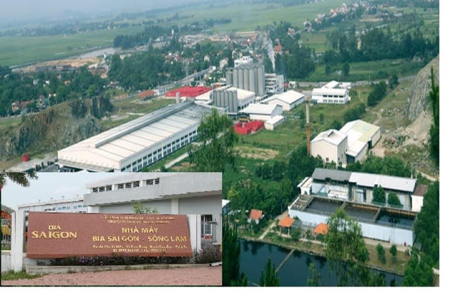 Bia Sài Gòn Sông Lam (BSL) báo lãi nửa đầu năm 2026 gấp 9 lần cùng kỳ, sở hữu lượng tiền mặt 'khủng'