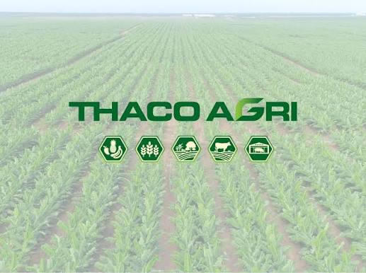 Thaco Agri báo lãi 2025 tăng gấp 6 lần, quy mô nợ phải trả vượt 68.000 tỷ đồng