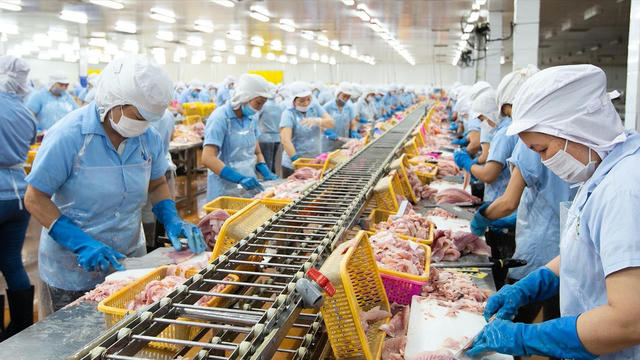 Nam Việt (ANV) quý II/2026: Doanh thu tăng nhưng lợi nhuận lao dốc tới 60%