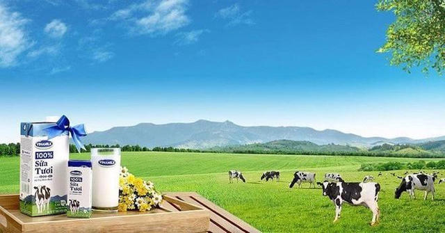 Vinamilk (VNM) báo lãi nửa đầu năm 2026 tăng mạnh 38%, xuất khẩu đóng vai trò điểm sáng