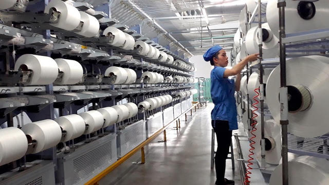 Gánh nặng chi phí từ nhà máy Unitex, Sợi Thế Kỷ (STK) báo lỗ hai quý liên tiếp
