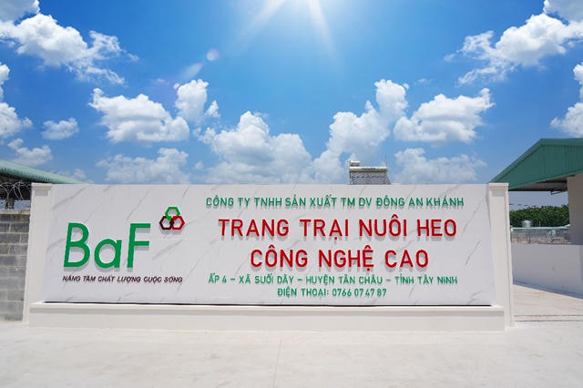 BaF Việt Nam (BAF): Doanh thu tăng hơn 54%, nhưng lợi nhuận quý II giảm một nửa do chi phí tài chính và mở rộng trang trại BaF Việt Nam (BAF): Doanh thu tăng hơn 54%, nhưng lợi nhuận quý II giảm một nửa do chi phí tài chính và mở rộng trang trại
