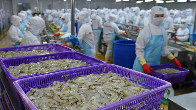 Thực phẩm Sao Ta (FMC) báo doanh số tháng 7 giảm 2%