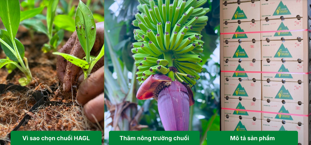Công ty con của Hoàng Anh Gia Lai (HAG) chốt giá IPO là hơn 60.000 đồng/cp Công ty con của Hoàng Anh Gia Lai (HAG) chốt giá IPO là hơn 60.000 đồng/cp