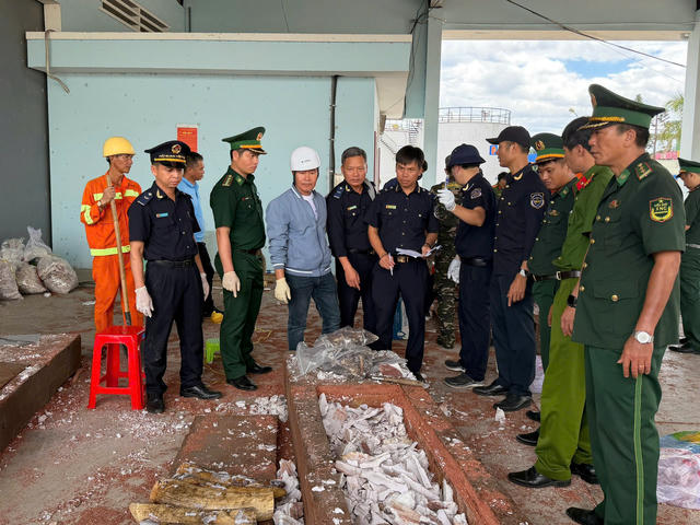 Khởi tố vụ án buôn lậu gần 1,2 tấn ngà voi tại Cửa khẩu Cảng Quy Nhơn