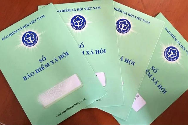 Đầu tư Thuận Lợi chậm nộp bảo hiểm hơn 3 tỷ đồng, hé mở hệ sinh thái bất động sản quy mô lớn