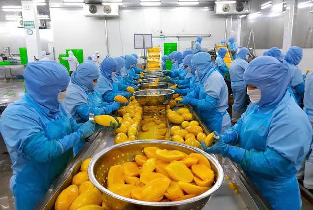 Rau quả Thực phẩm An Giang (ANT) dự kiến huy động 200 tỷ đồng từ chào bán cổ phiếu