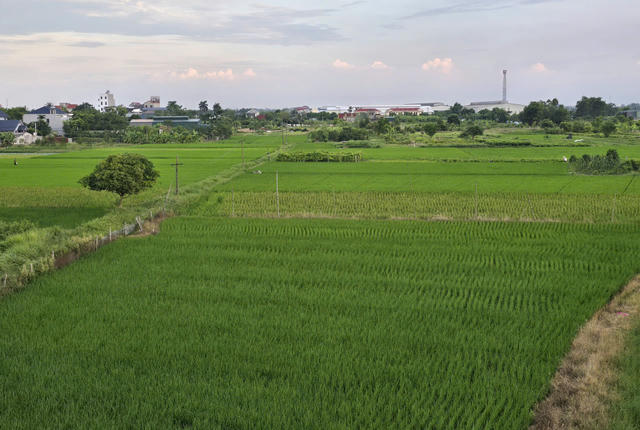 Đồng Nai chuyển hơn 1.600 m² đất trồng lúa để phục vụ hoạt động khoáng sản