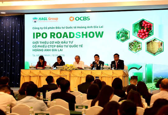 IPO Đầu tư Quốc tế Hoàng Anh Gia Lai (HGI): Định giá P/E 6 lần, dự kiến chia cổ tức 50% lợi nhuận