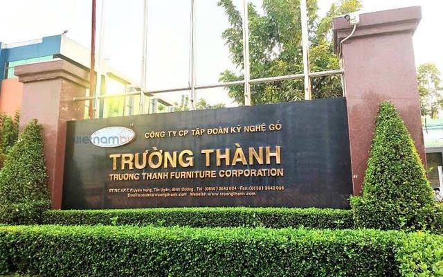 Lỗ lũy kế 'ăn mòn' 86% vốn điều lệ, Gỗ Trường Thành (TTF) xin gia hạn công bố báo cáo bán niên