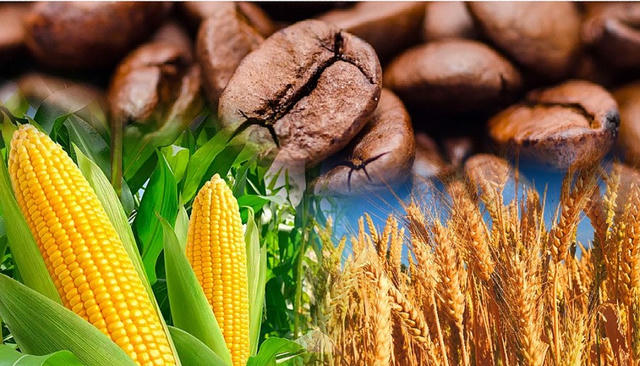 Xây dựng Luật Giao dịch Hàng hóa: Phải đầy đủ và chi tiết
