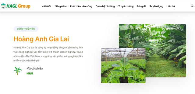 HAGL (HAG) bán gần 14,7 triệu cổ phần HGI với giá thấp hơn 25% so với giá IPO