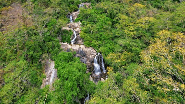 Biến giá trị thiên nhiên thành nguồn lực hỗ trợ du lịch và bảo tồn