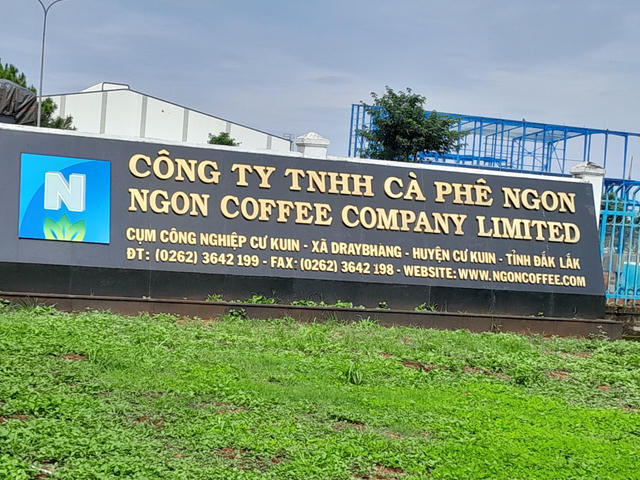 Ngon Coffee: Lãi ròng 900 tỷ đồng từ chiến lược gia công và tối ưu chính sách thuế