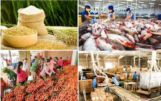Chung tay nâng cao giá trị nông, lâm, thủy sản