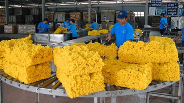 Cao su Phước Hòa (PHR): Định hướng phát triển khu công nghiệp, nông nghiệp công nghệ cao và điện mặt trời