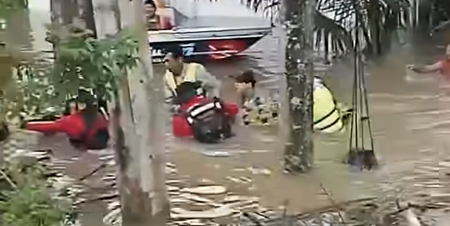 Thái Lan di dời cá sấu nặng 400 kg khỏi ngôi chùa ngập lụt