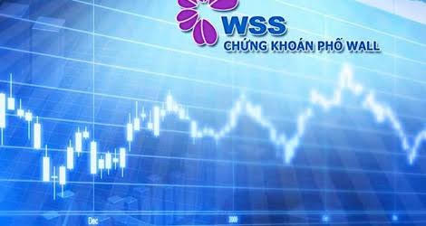 Chứng khoán Phố Wall (WSS) bị phạt 92,5 triệu đồng vì giấu thông tin giao dịch cổ phần