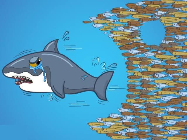 Hàng loạt quỹ ngoại tỷ USD báo lỗ, Dragon Capital và Pyn Elite Fund hụt hơi trước biến động của cổ phiếu