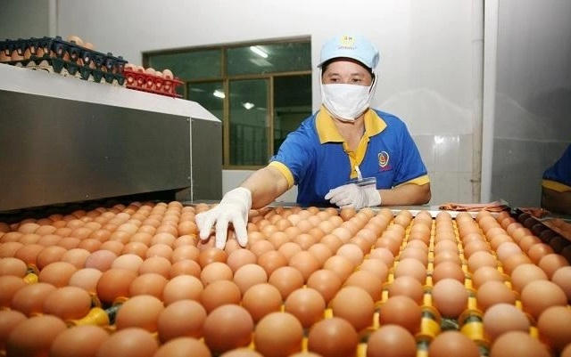 BIDV rao bán khoản nợ hơn 624 tỷ đồng của Ba Huân và doanh nghiệp thành viên