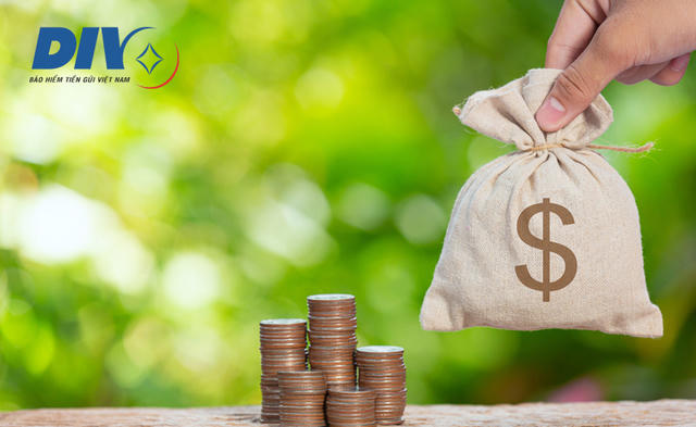 Vai trò của Bảo hiểm tiền gửi Việt Nam trong tham gia xử lý tổ chức tín dụng yếu kém