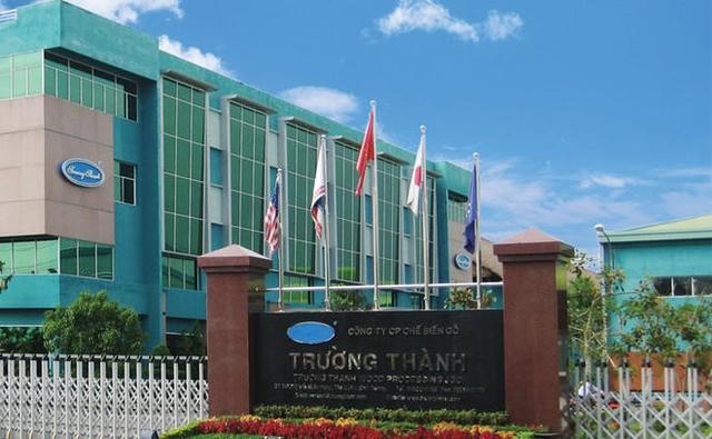 Gỗ Trường Thành (TTF) lỗ lũy kế ngàn tỷ, kiểm toán từ chối đưa ra kết luận báo cáo tài chính
