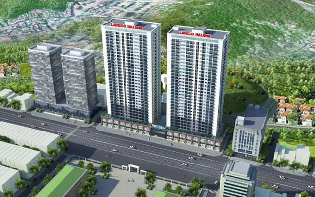 Phó Chủ tịch Lideco (NTL) chi đậm gom cổ phiếu, lợi nhuận bán niên tăng vọt 170%
