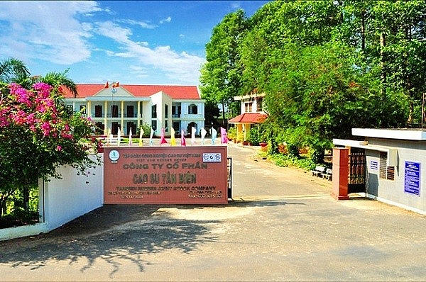 Cao su Tân Biên (RTB) báo lãi quý 3 tăng trưởng 20%, chính thức vượt kế hoạch cả năm