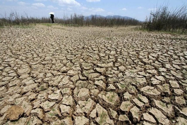 Ngân hàng Thế giới (World Bank) và IMF cảnh báo rủi ro lạm phát và thiệt hại tỷ USD từ siêu El Niño