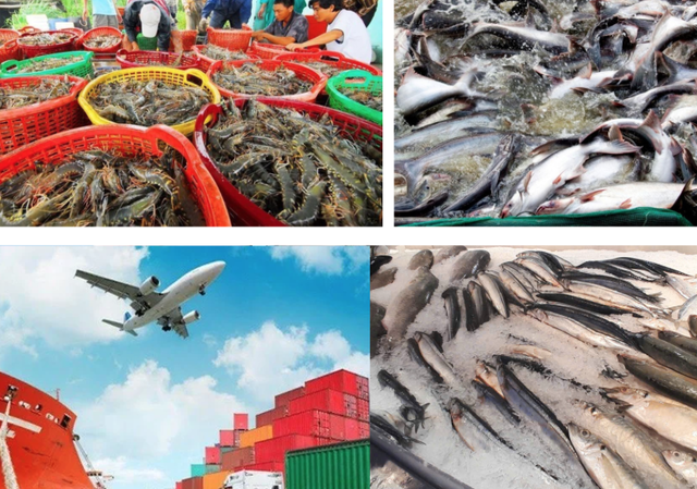 Hiệp định VEFTA, kỳ vọng mở ra cơ hội mới cho ngành thủy sản Việt Nam