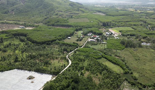 Phú Thọ chuyển đổi hơn 56 ha rừng làm khu nhà ở và đường giao thông Phú Thọ chuyển đổi hơn 56 ha rừng làm khu nhà ở và đường giao thông