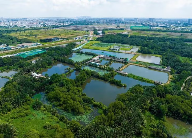 TP HCM xem xét thí điểm 147 khu đất làm nhà ở thương mại, quy mô hơn 854ha TP HCM xem xét thí điểm 147 khu đất làm nhà ở thương mại, quy mô hơn 854ha