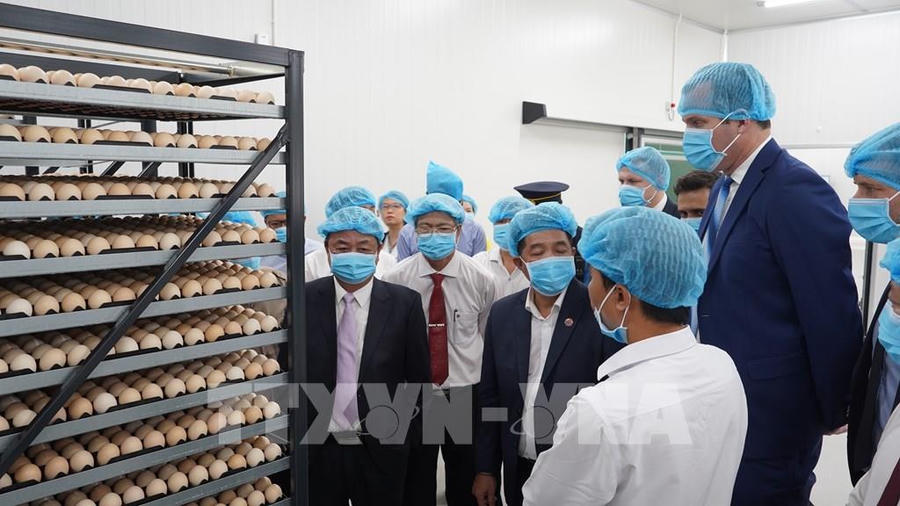 Ảnh: Thanh Tân (TTXVN)