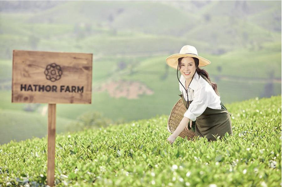 CEO/Founder Hathor xây dựng Hathor Farm là vùng nguyên liệu sạch