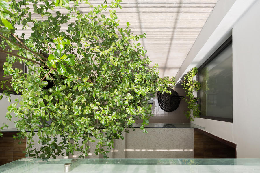 Nhóm kiến trúc sư đã đưa ra ý tưởng nhà ba tầng với thiết kế càng lên cao càng lùi vào bên trong. Biện pháp này đã đẩy không gian sinh hoạt chung về phía sau và tạo ra nhiều khoảng không gian ngoài trời ở phía trước. 