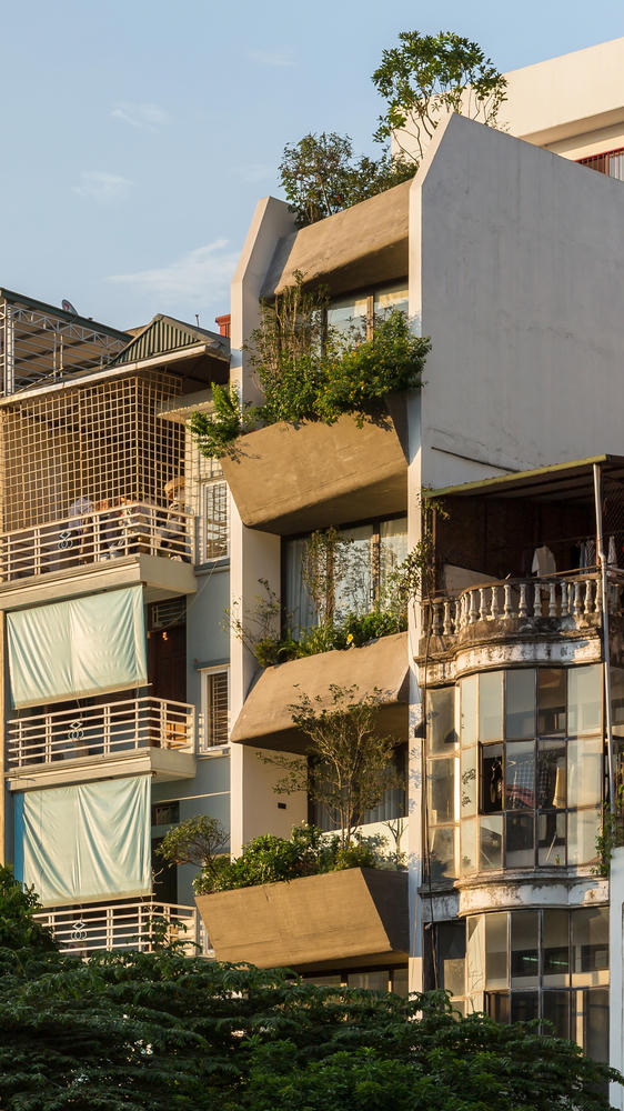 Ngôi nhà 49m2 nổi bật giữa phố cổ Hà Nội nhờ kiến trúc xanh mướt độc đáo - Ảnh 9