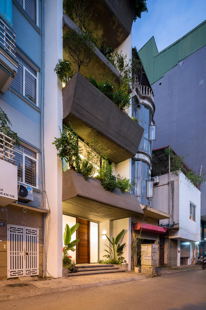 Ngôi nhà 49m2 nổi bật giữa phố cổ Hà Nội nhờ kiến trúc xanh mướt độc đáo - Ảnh 1