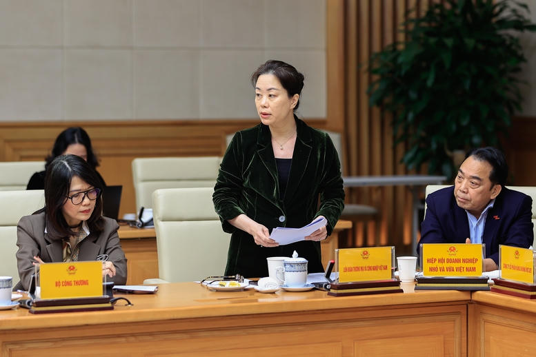 Thủ tướng: Xây dựng cơ chế giao việc lớn, việc khó, việc đột phá cho doanh nghiệp- Ảnh 11.