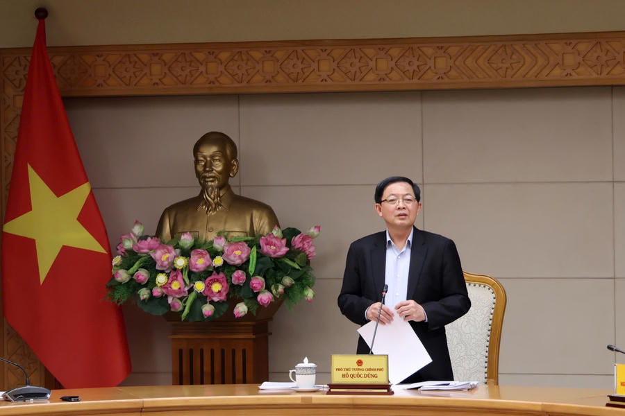 Phó Thủ tướng Chính phủ Hồ Quốc Dũng phát biểu tại cuộc họp. (Ảnh trong bài: VGP)