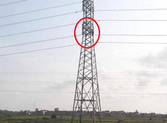 Người đàn ông (vùng khoanh đỏ) nghi bị ngáo đá ngồi cả ngày trên cây cột điện cao thế.