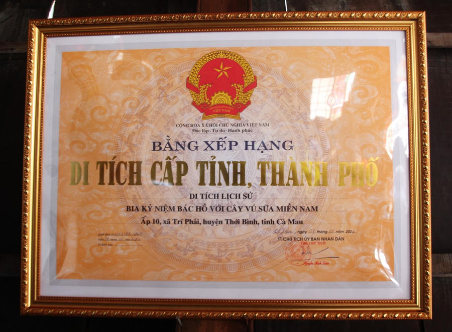 UBND tỉnh Cà Mau đã trao Bằng xếp hạng di tích lịch sử cấp tỉnh, thành phố - Bia kỷ niệm Bác Hồ với cây vú sữa miền Nam.