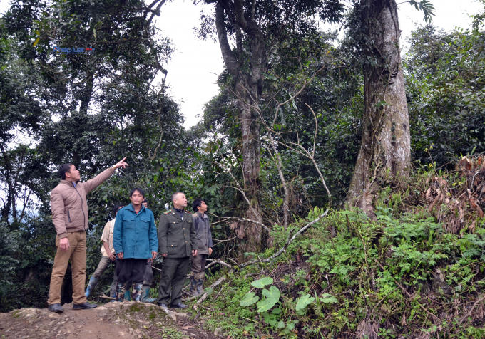 Hàng tuần các tổ bảo vệ rừng phânra các nhóm đi tuần.