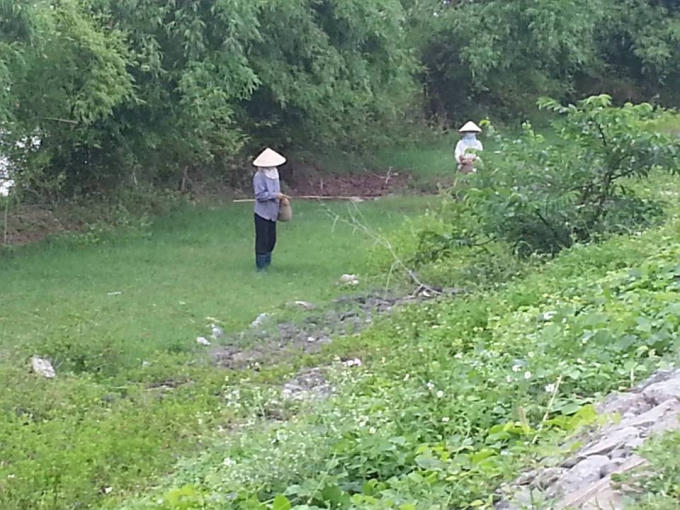 Câu cáy đem lại thu nhập ổn định cho người dân trong huyện.