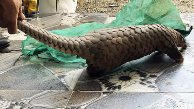 08dccdc34480addef491