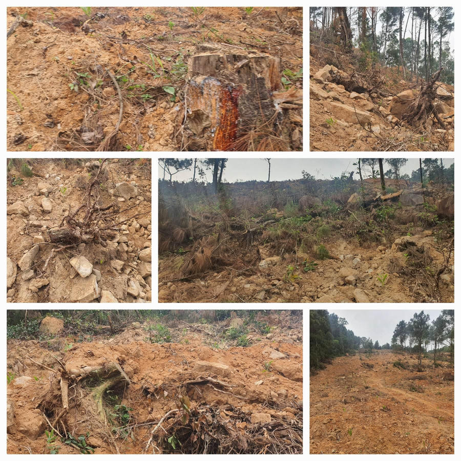 335576745_1571835933322030_7147253869755988440_n