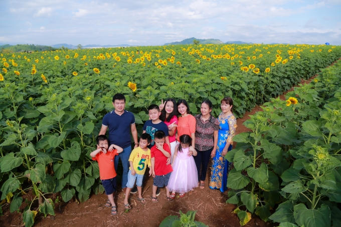Một đại gia đình cùng nhau chụp ảnh cùng với hoa hướng dương