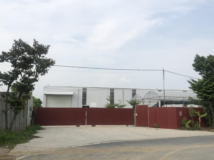 Xưởng sơ chế hành rộng khoảng 1000m2 tại xứ đồng thôn Đoài, xã An Hưng.