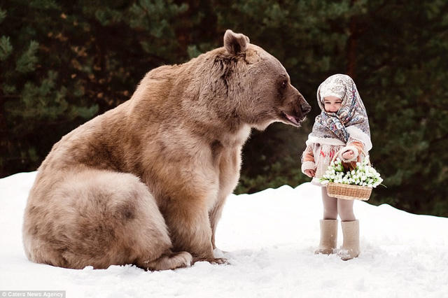Bộ ảnh chụp gấu Stepan bên cạnh những em bé trong một cánh rừng ở gần Moscow, Nga, hiện đang gây sốt trên mạng bởi khiến người ta tưởng như trong truyện cổ tích.